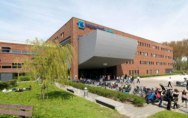 scriptiebegeleiding-leiden-afbeelding