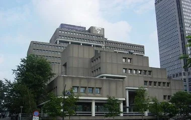 scriptiebegeleiding-amsterdam-afbeelding